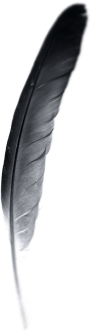 feather