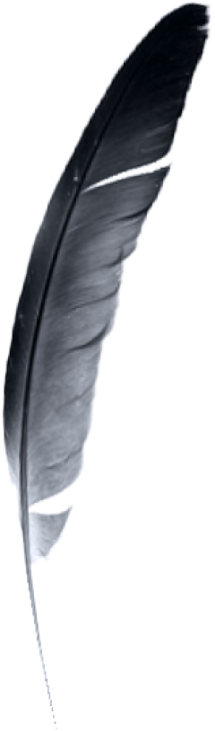 feather